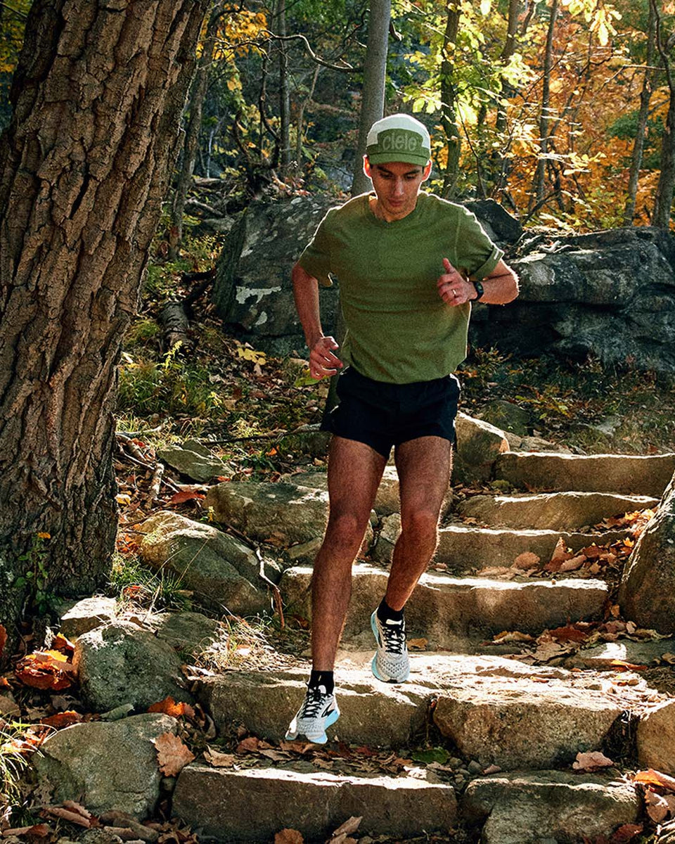 ALZCap SC – Standard Stripes – Meadow