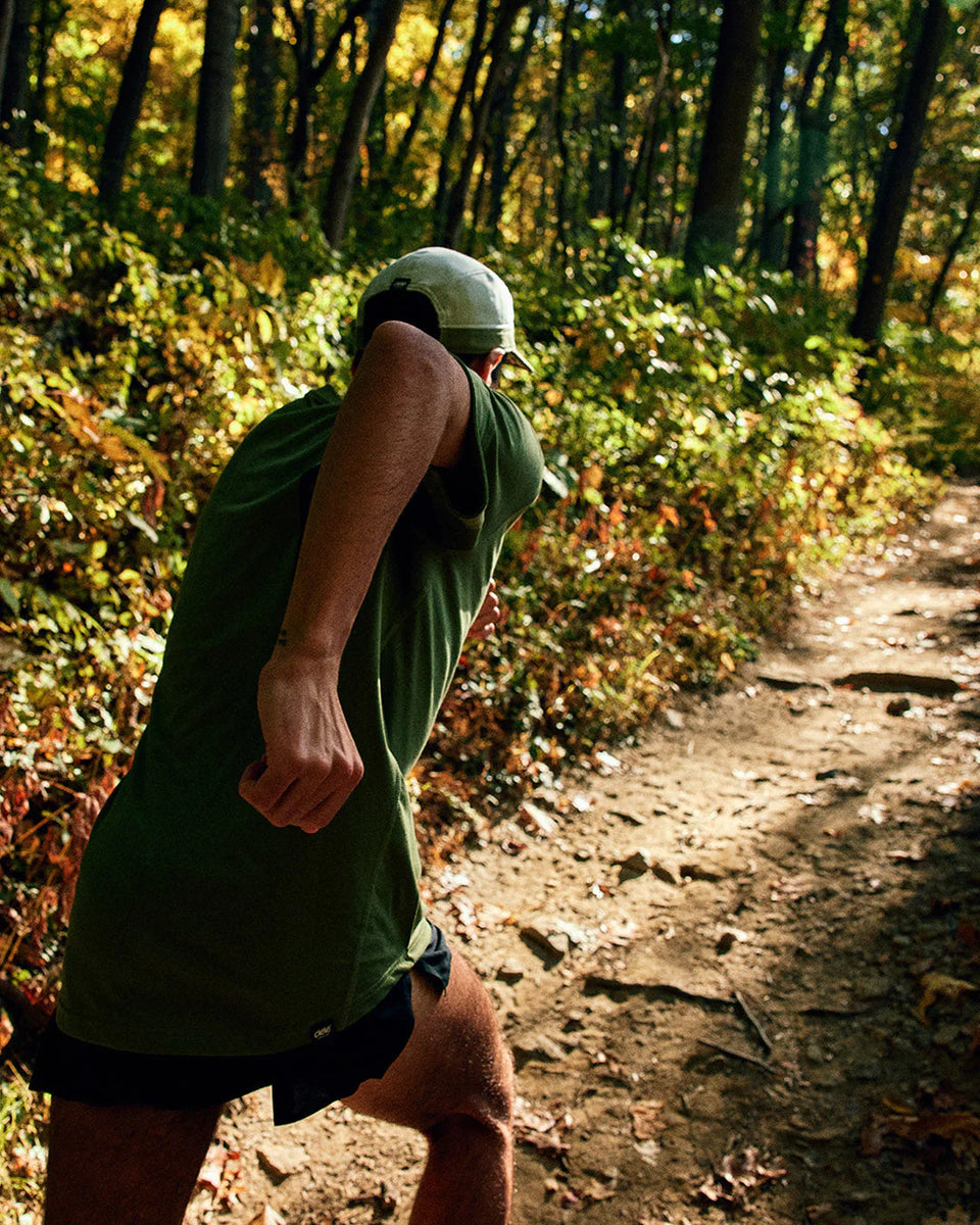 ALZCap SC – Standard Stripes – Meadow