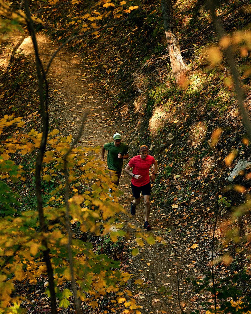 ALZCap SC – Standard Stripes – Meadow