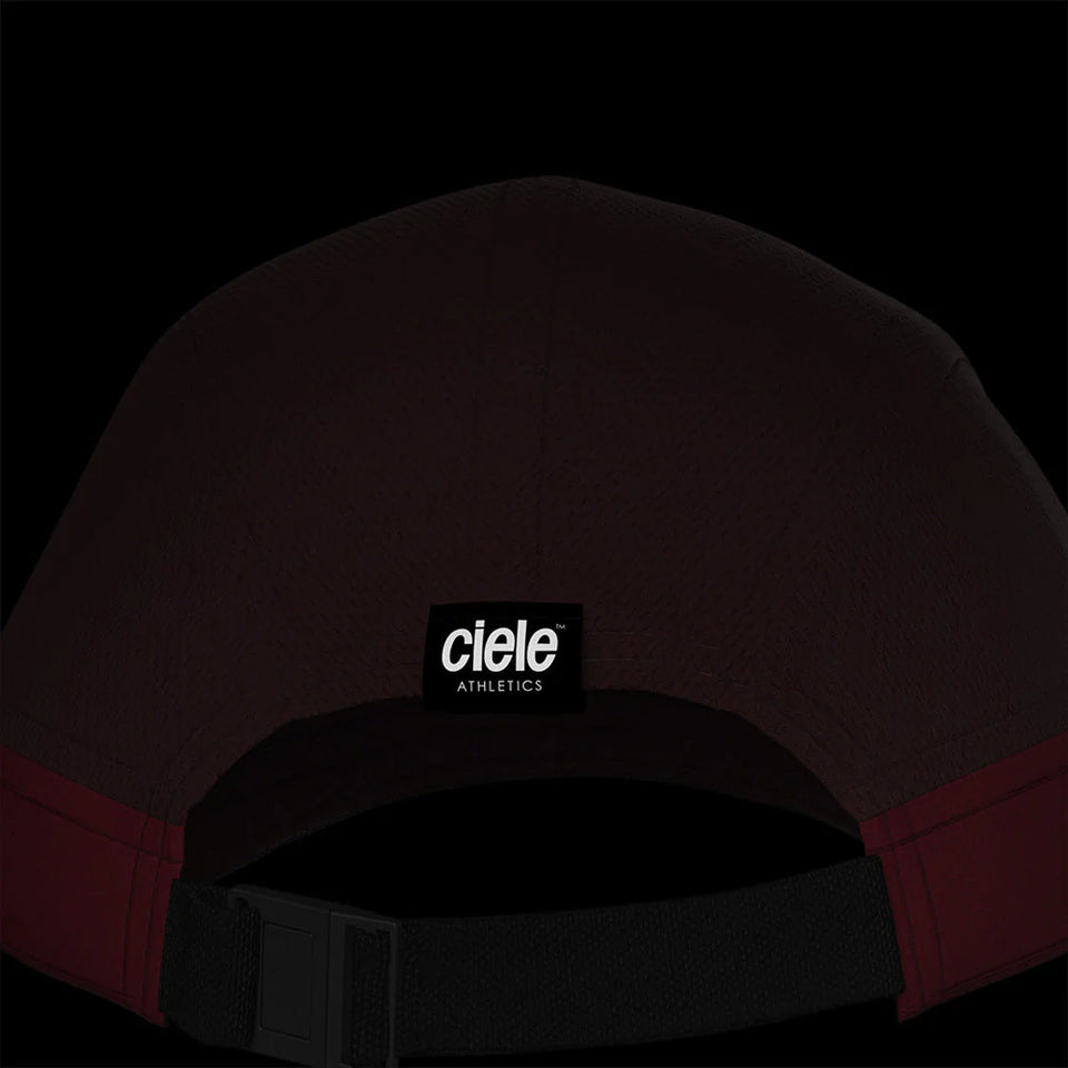 ALZCap SC – Standard Stripes – Turner