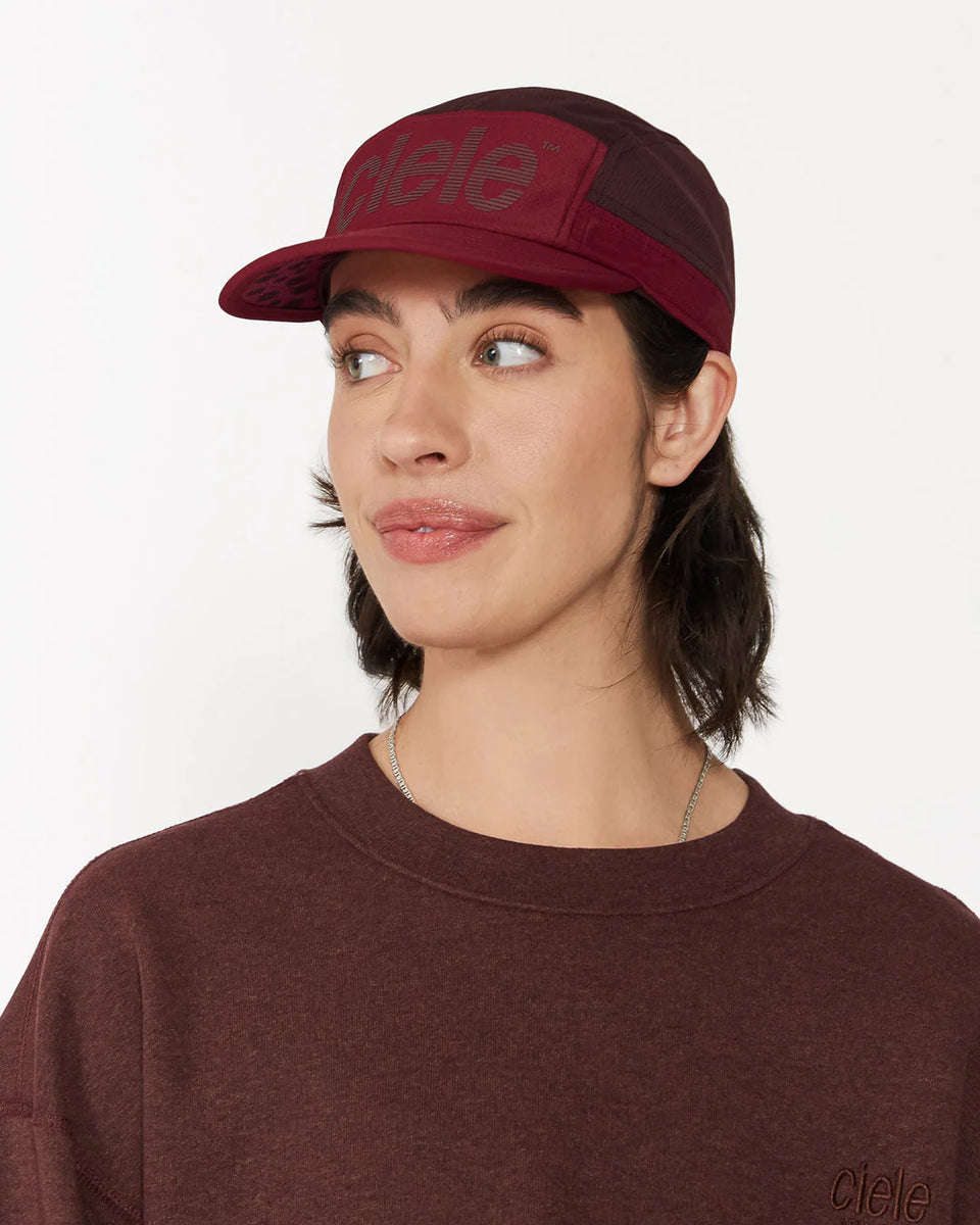 ALZCap SC – Standard Stripes – Turner