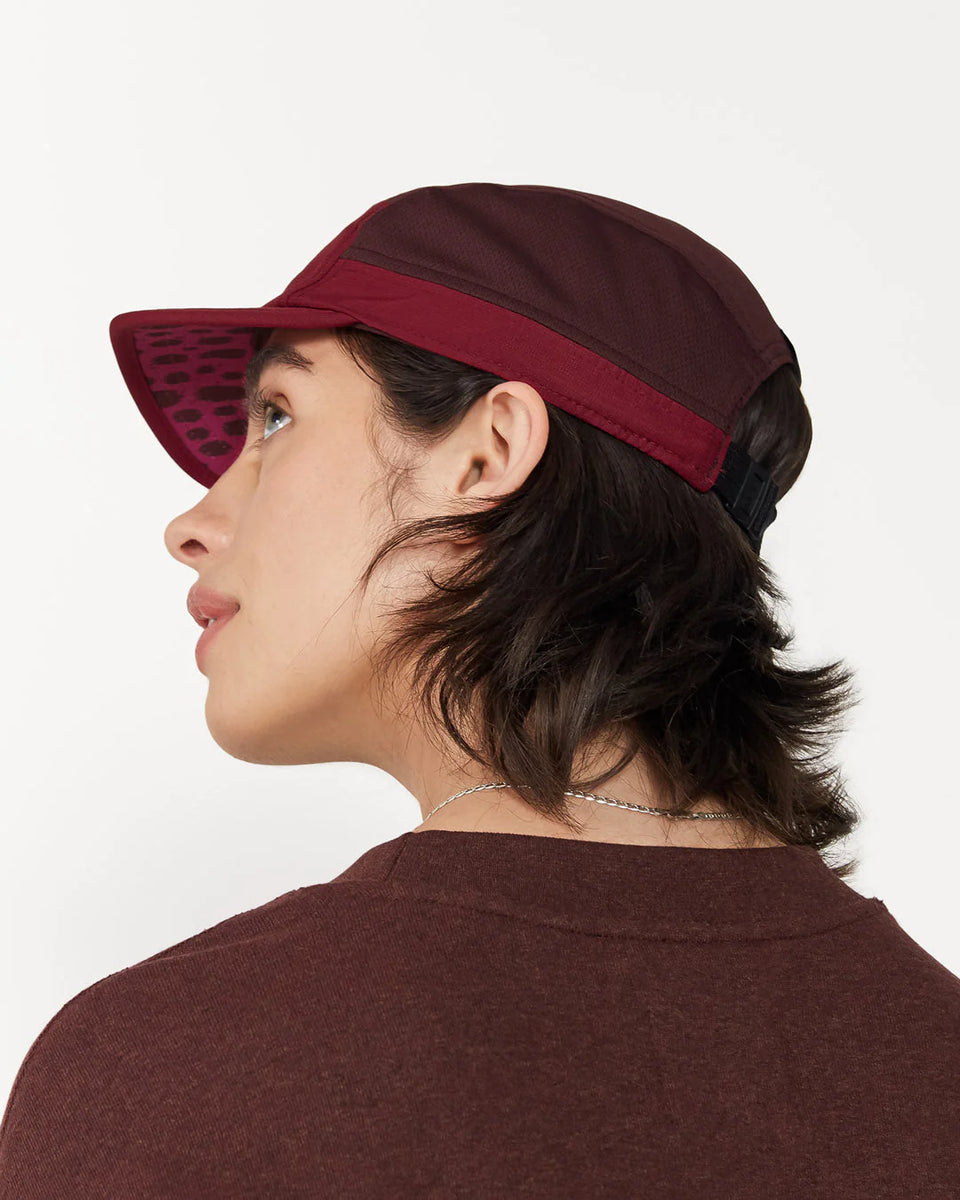 ALZCap SC – Standard Stripes – Turner