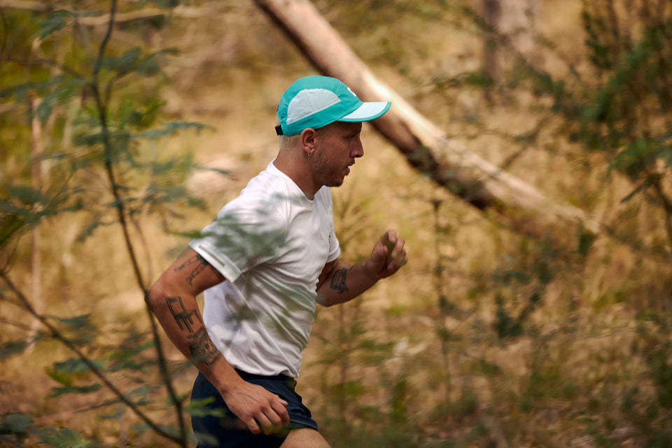 GOCap SC – Box – Brookview