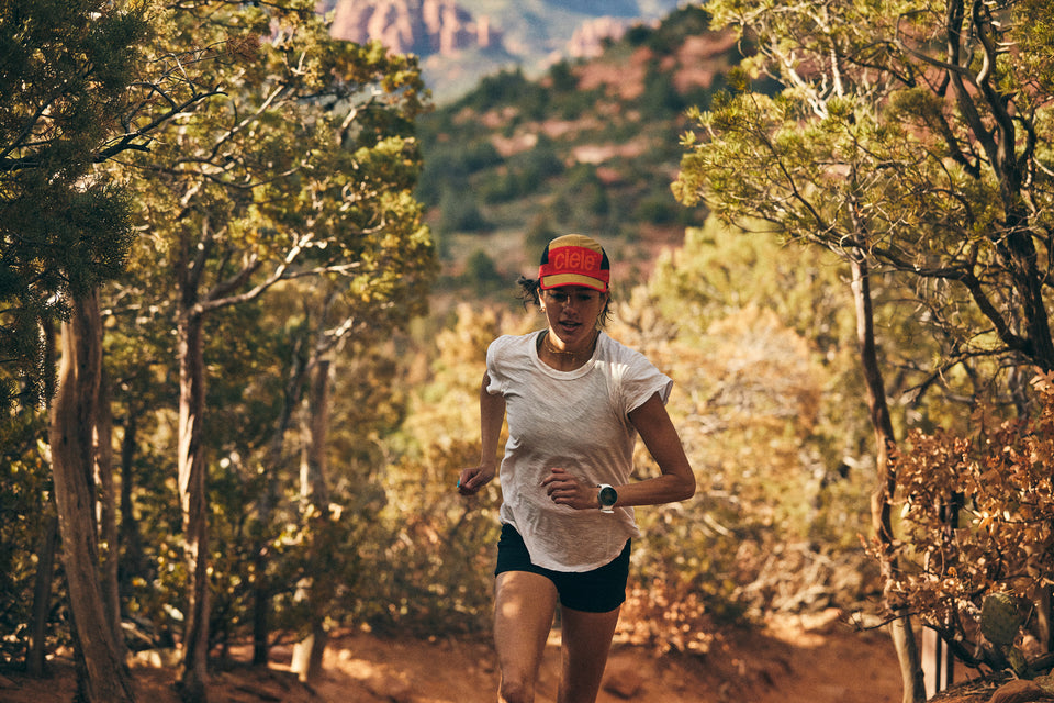 ALZCap SC – Standard Stripes – Edwards