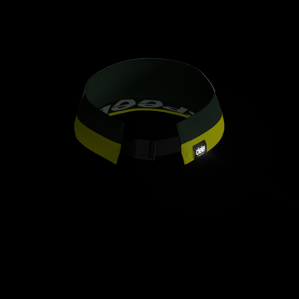 FSTVisor Dual SC – Standard Corp – Ursa