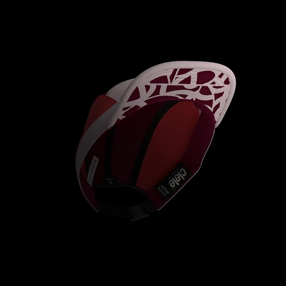 ALZCap – Standard Corp Small – Flowin