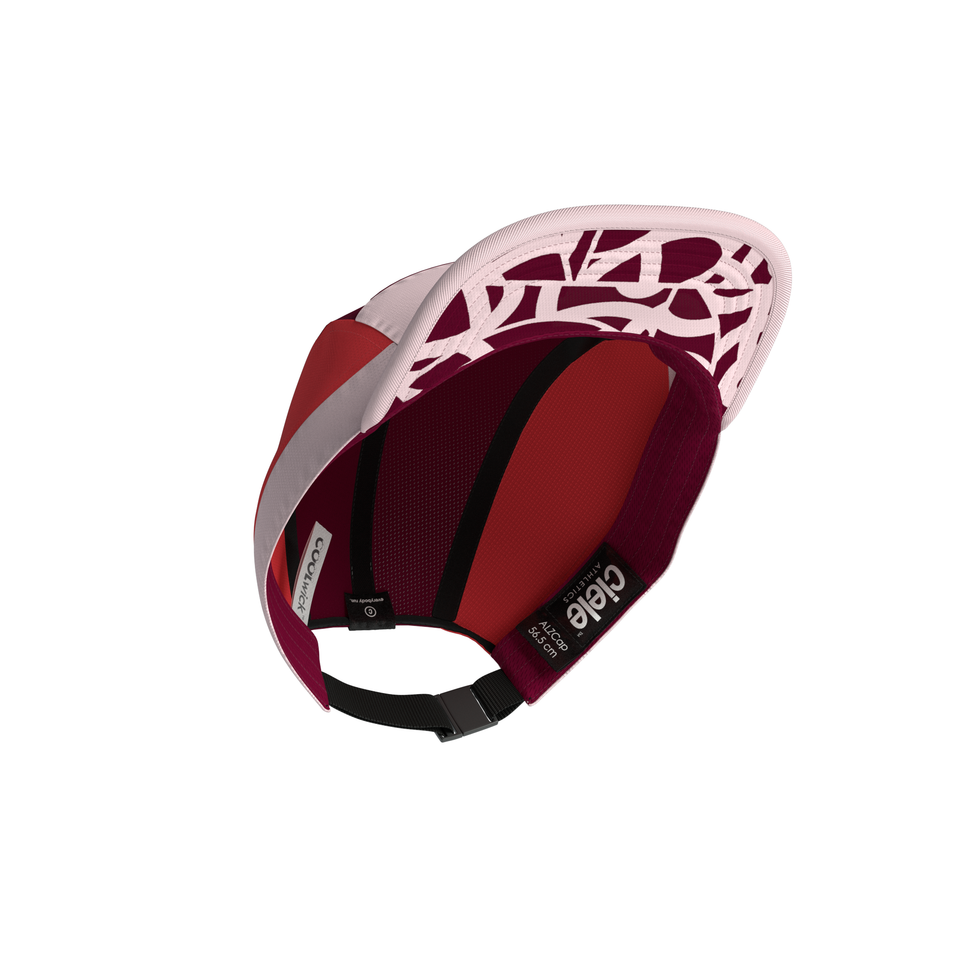 ALZCap – Standard Corp Small – Flowin