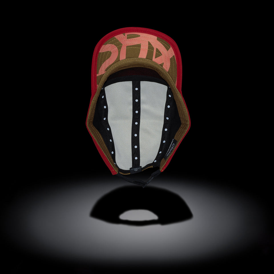 ALZCap SC – Standard Stripes – Edwards