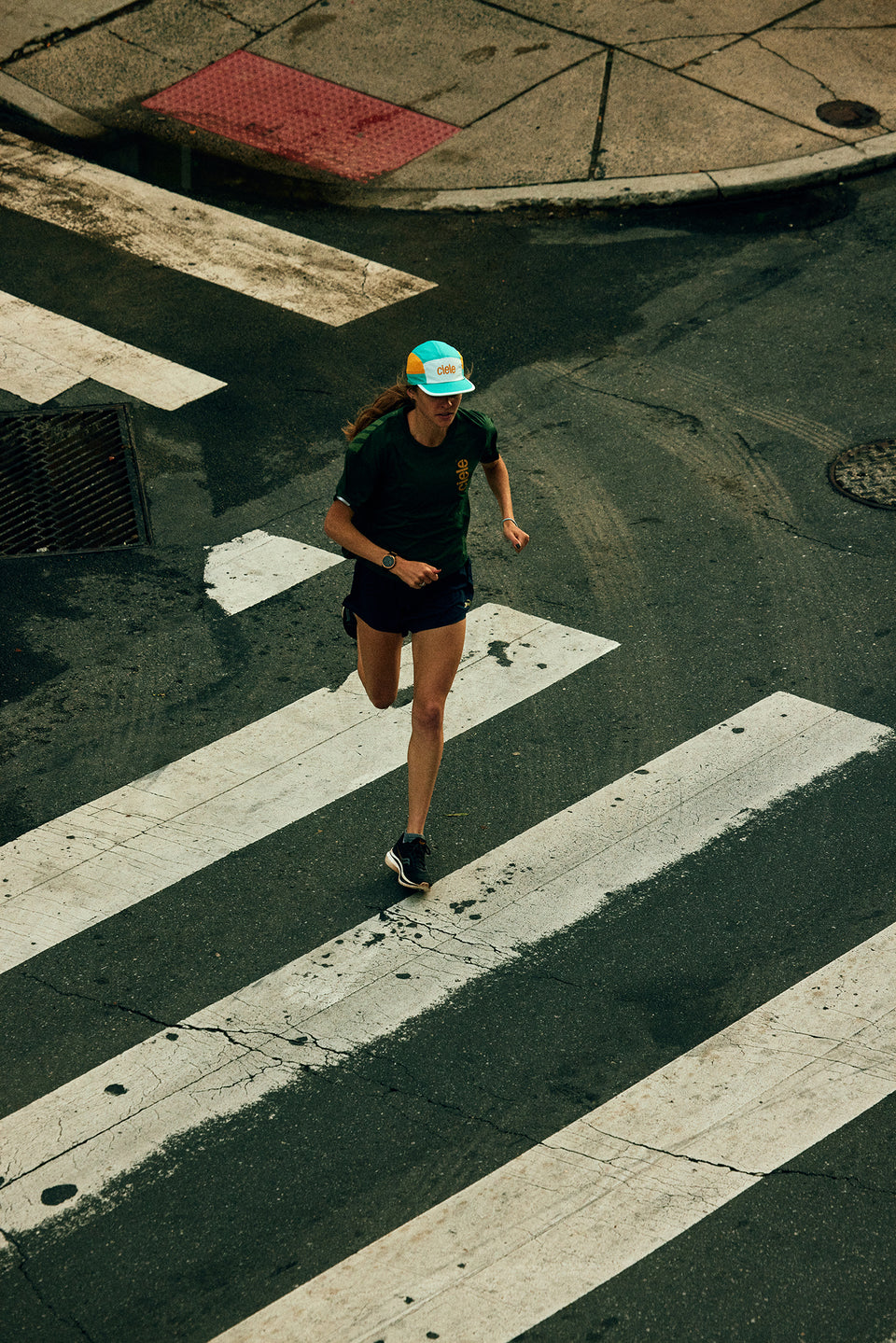 WNSBTShirt – Zebra Panel – Norton