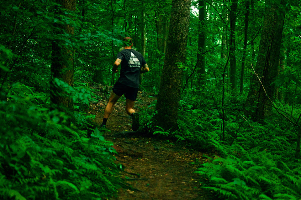 NSBTShirt – Buck Mountain – Dusk