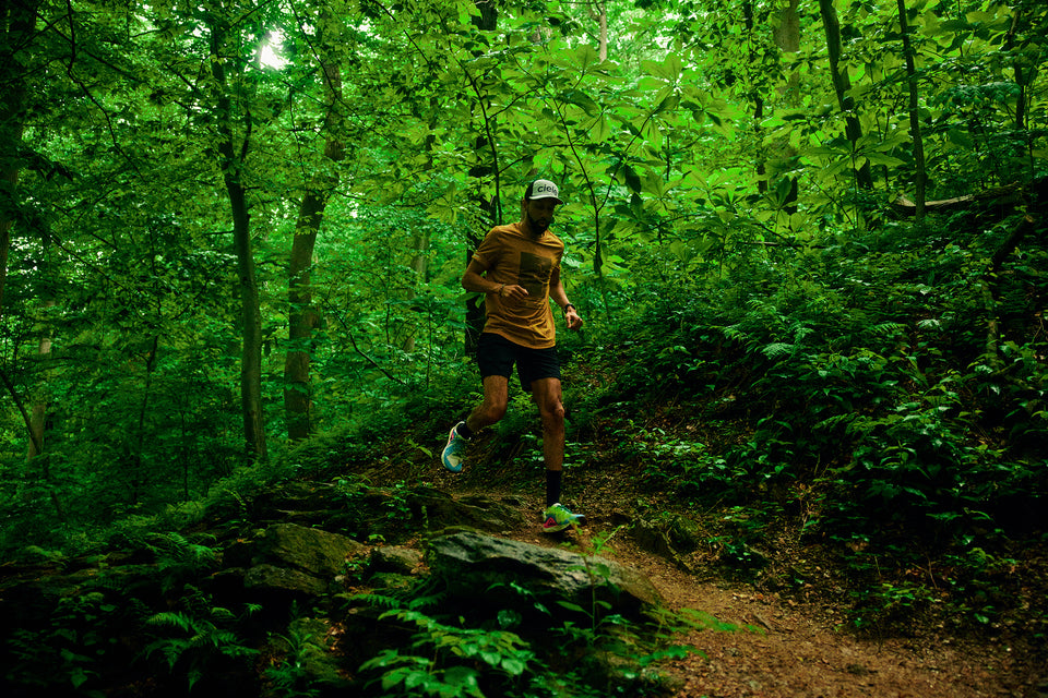 TRKCap SC – Century – Stadium